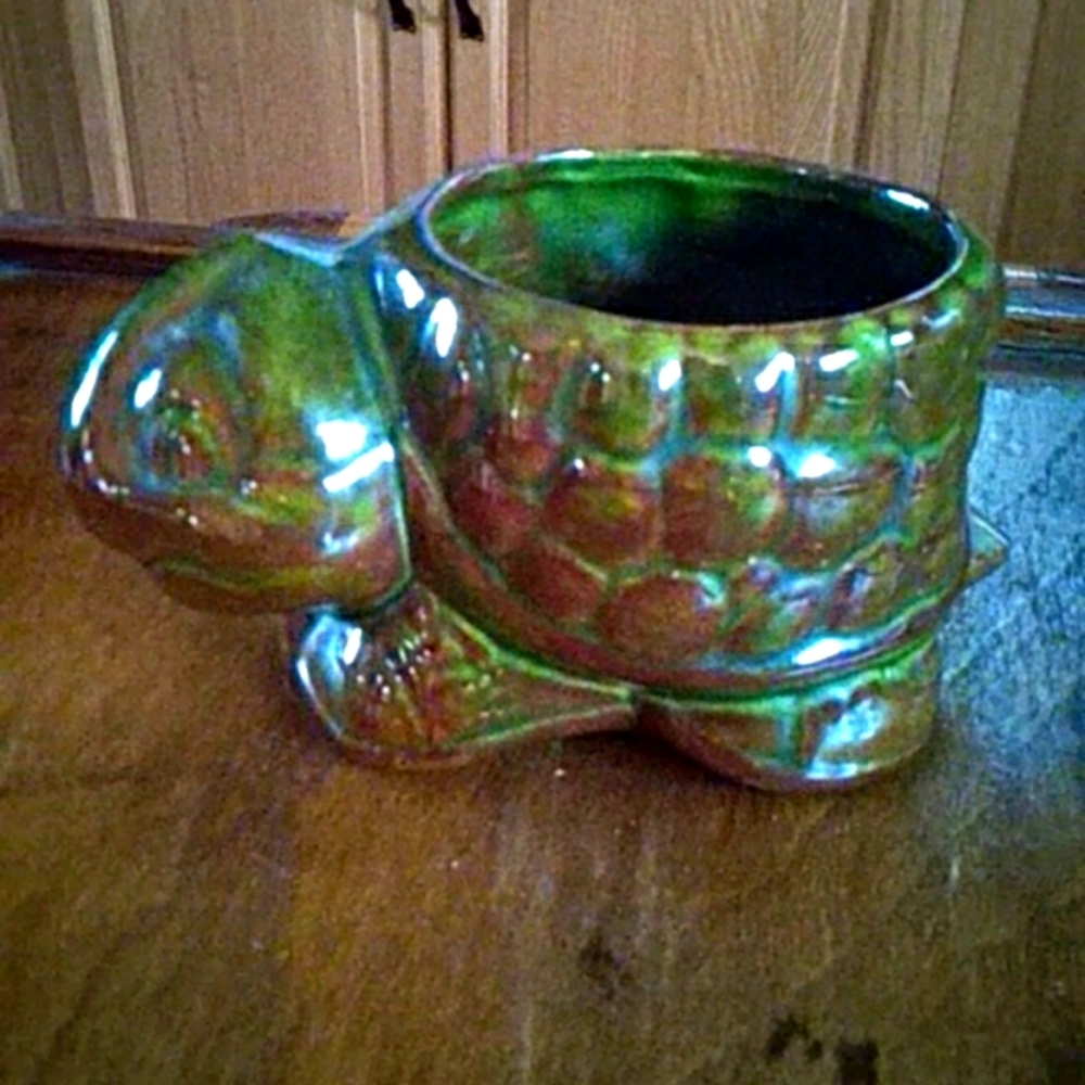 Little turtle flower pot.